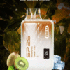 SP2S GEM 9000 PUFFS 拋棄式電子煙 一次性霧化桿