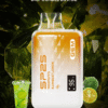 SP2S GEM 9000 PUFFS 拋棄式電子煙 一次性霧化桿