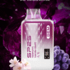 SP2S GEM 9000 PUFFS 拋棄式電子煙 一次性霧化桿