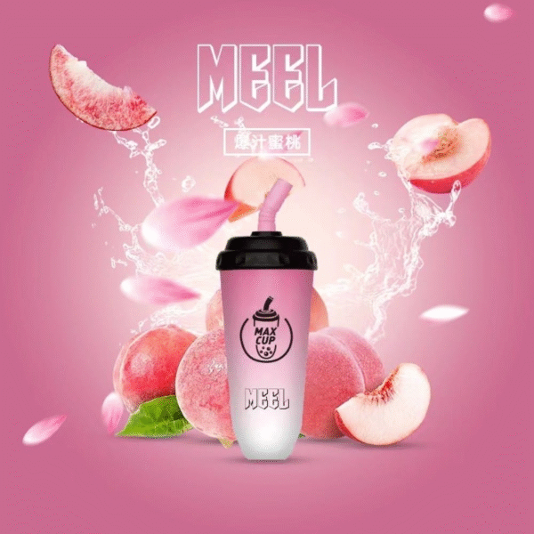 MEEL奶茶杯 6000 PUFFS 拋棄式電子煙 可充電一次性煙桿