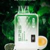 SP2S GEM 9000 PUFFS 拋棄式電子煙 一次性霧化桿