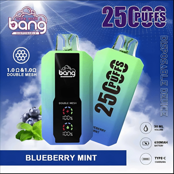 Bang 25000 Puffs拋棄式電子煙 超大屏幕 超大容量 可充電