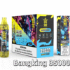 BANG KING 35000 PUFFS 龍捲風 一次性抛棄式霧化筆狀電子煙 超大容量 充電帶顯示屏